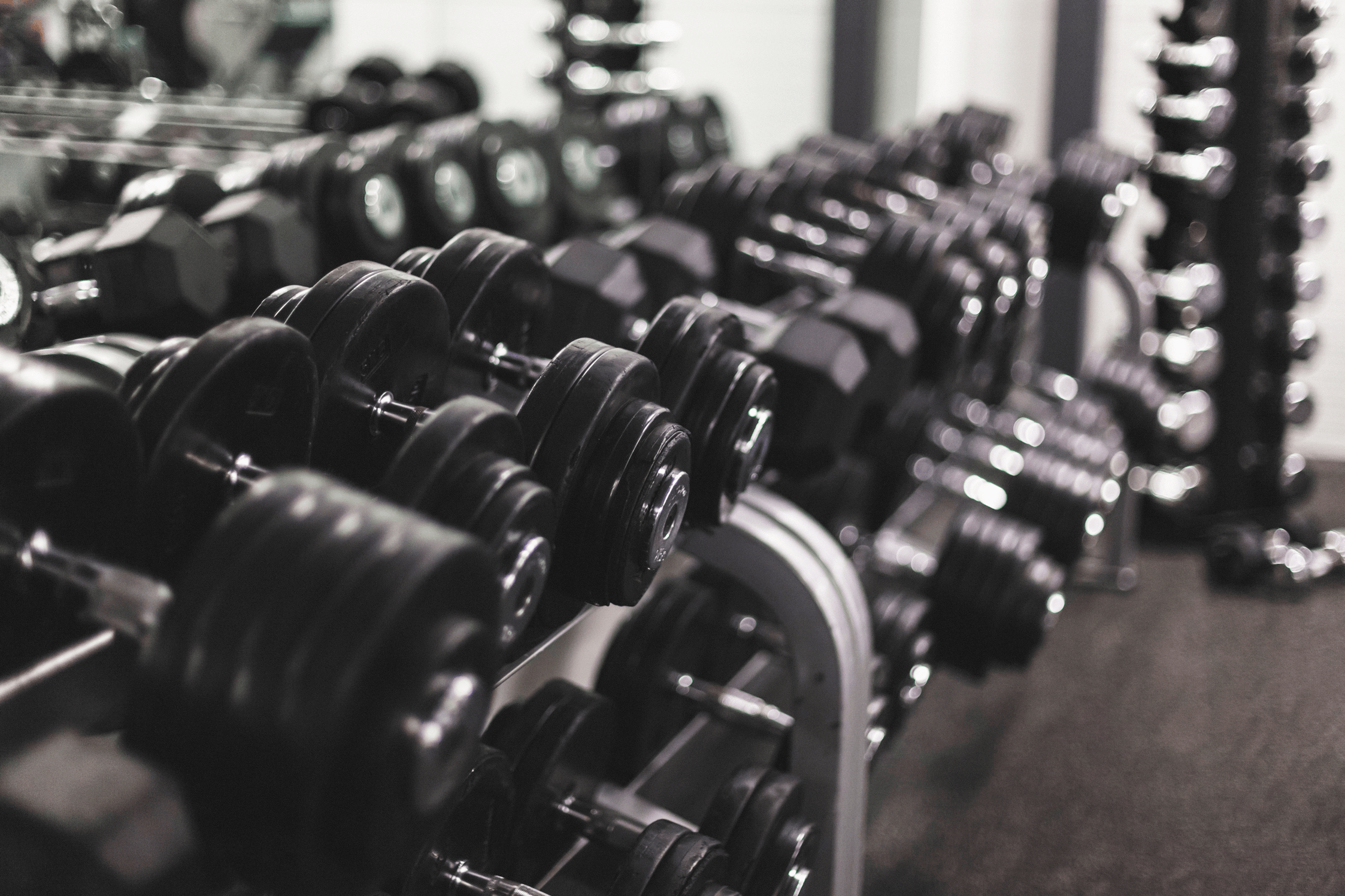 bg-app-treino