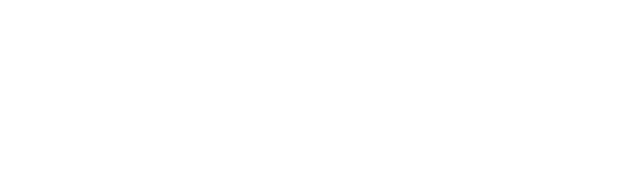 logo-app-treino-naming-full-white